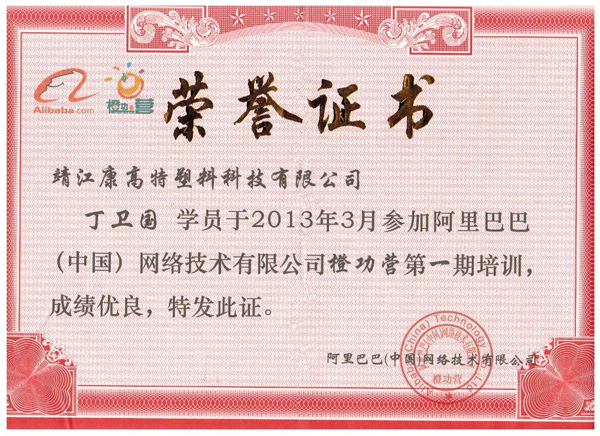 美彩参加阿里巴巴培训荣誉证书
